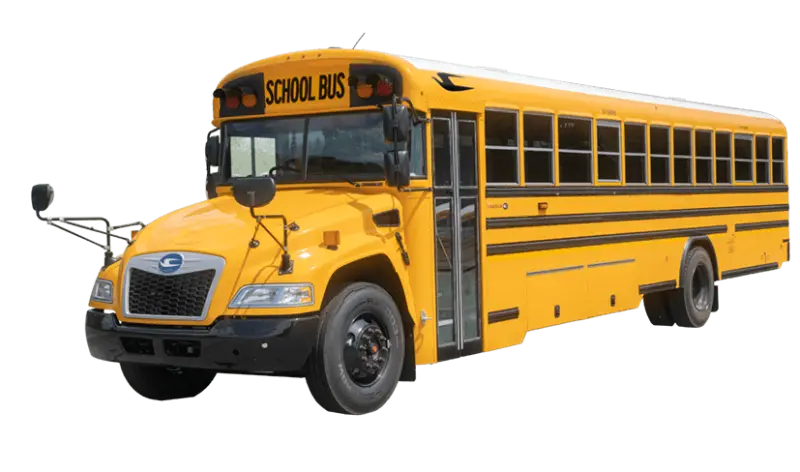 School Buses for sale